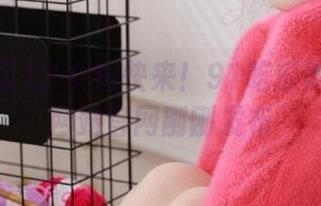 少女们快来！91吃瓜黑料爆料网站官网刚刚发布