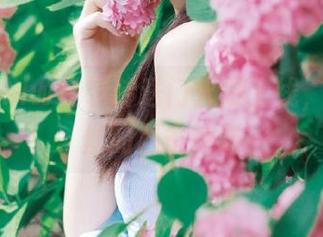 hlw登录传送门火爆上线，吃瓜粉丝的必备神器
