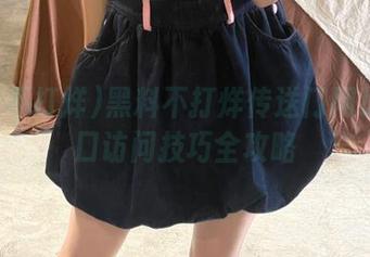 黑料不打烊传送门网址及入口访问技巧全攻略