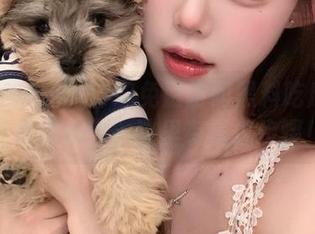 想免费访问黑料吃瓜网站地址是什么？这里有详细步骤！
