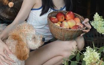 iOS独家91黑料正能量链接，让吃瓜变身正能量体验